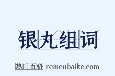 银丸组词是什么意思的图片
